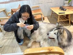 -李小姐の猫咖啡馆(五角场店)