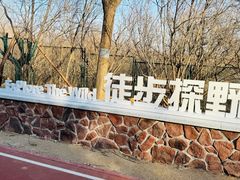 -北京凤凰岭