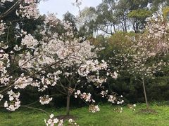 -南山植物园