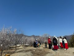 -白水寺森林公园
