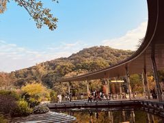 -云溪植物园