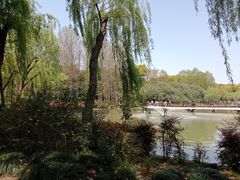 -黄兴公园