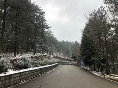 -四明山国家森林公园