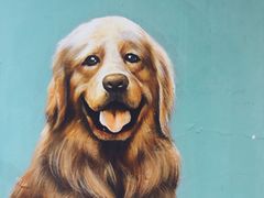 -佐佑帐篷环游记(南锣鼓巷店)