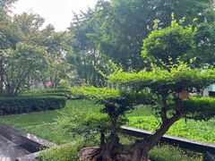 -北京希尔顿逸林酒店