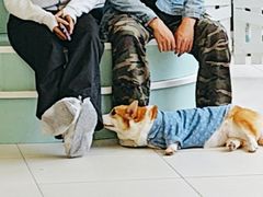 -怪兽屋·羊驼·猫咖·狗咖(俊华广场店)