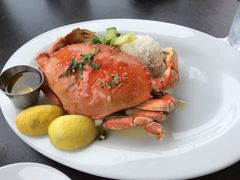 -Fish Hopper
