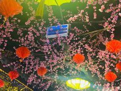 -九庄火锅(龙游店)