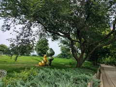 -北京西山国家森林公园