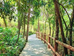 -铁山坪森林公园