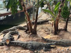 -石家庄市动物园