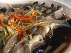 -煲来饱去冷水鱼