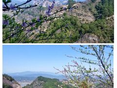 -冠豸山景区