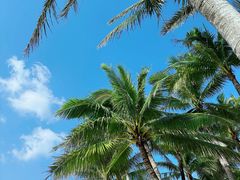 -海南分界洲岛旅游区