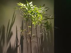 -望京辣宴·古法川菜(望京店)