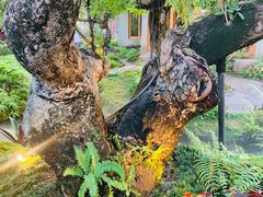 -Chom Cafe and Restaurant