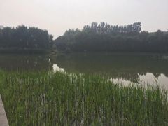 -河北省园博园