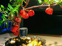 -遇见长安之高山流水(李家村万达店)