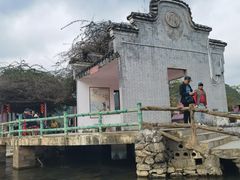 -靖西鹅泉风景区