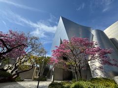 -华特·迪士尼音乐厅