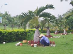 环境-三亚亚龙湾金棕榈度假酒店