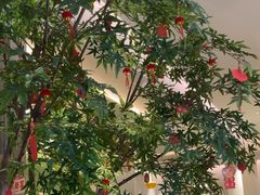 -Aqua Oasis 水天堂(太湖中心mall店)