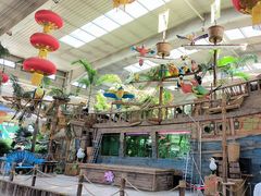 -南宫五洲植物乐园