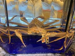 -蟹道乐(道顿堀本店)