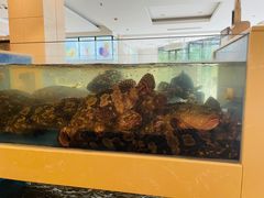-双井轩(双井店)