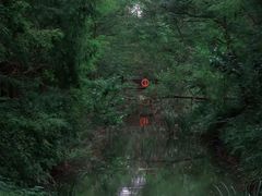 -黄海国家森林公园