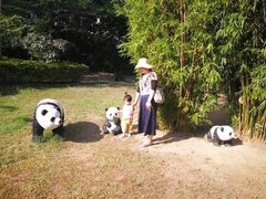 -亚龙湾国际玫瑰谷