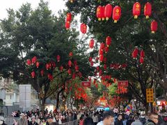 -越秀西湖花市(广州城市广场花卉店)