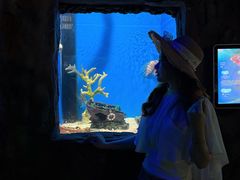 -福州罗源湾海洋世界旅游区