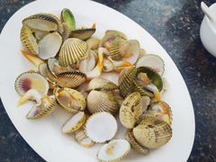 -岛中岛·海鲜大排档·万宁老字号(东澳店)