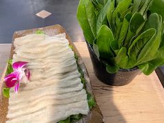 -新草堂锅物料理(泉城路店)