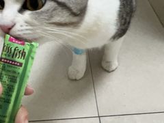 -宠颐生汉谟拉比宠物医院