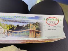 -五营红松林海景区