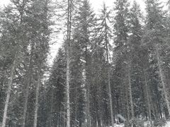 -硗碛藏寨·神木垒景区