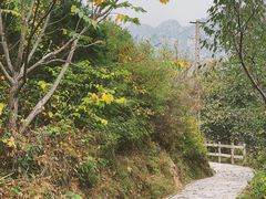 -大岭沟猕猴桃谷风景区
