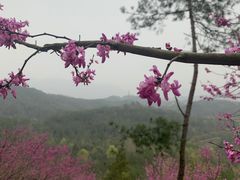 -天台山赤城山景区