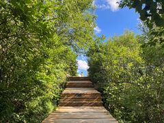 -白草畔自然风景区