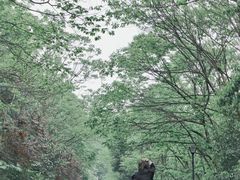 -万佛湖风景区
