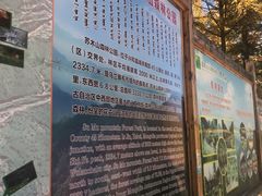 -苏木山森林公园