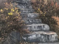 -南窖乡水峪村山情农家