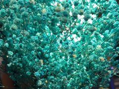 -海上云汇·影院足道·spa(古美店)