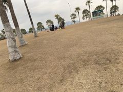 -柳湖沙月沙滩公园