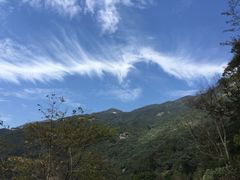-罗浮山·罗园农庄