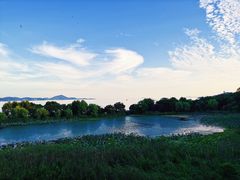 -上海市保健医疗中心