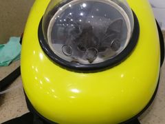 -伟伟宠物医院·CT影像中心·瑞派犬猫综合性门诊(汉口总院)
