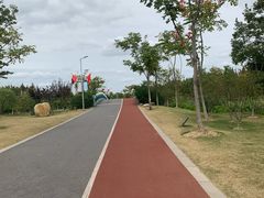 -上海长兴岛郊野公园